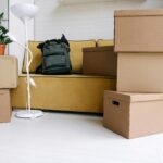 Houseplants safely packed in boxes for moving to a new home